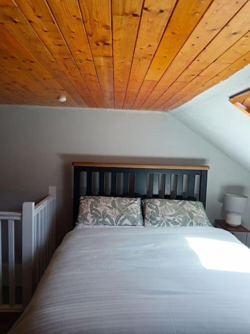 Dingle Escape -2 Bed -Sleeps 4 Leilighet Eksteriør bilde