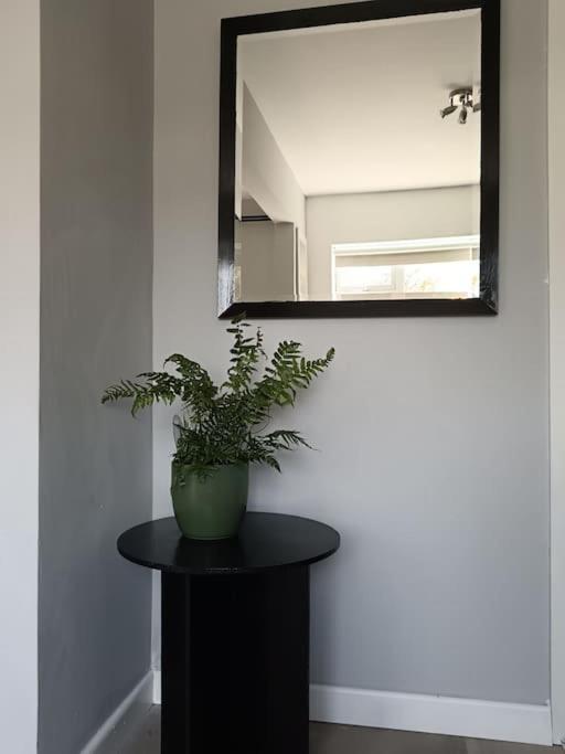 Dingle Escape -2 Bed -Sleeps 4 Leilighet Eksteriør bilde