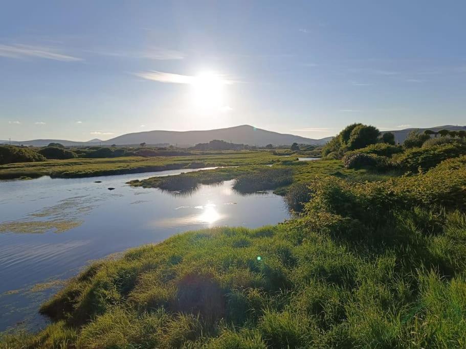 Dingle Escape -2 Bed -Sleeps 4 Leilighet Eksteriør bilde
