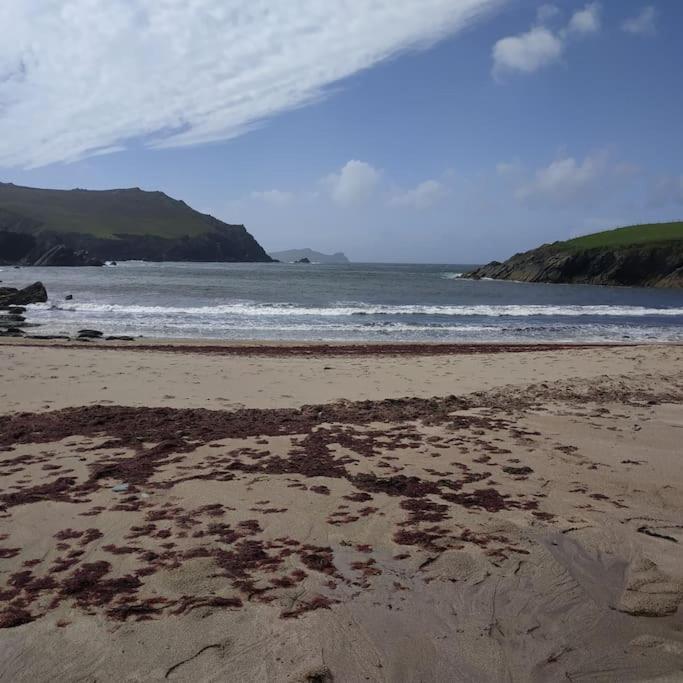 Dingle Escape -2 Bed -Sleeps 4 Leilighet Eksteriør bilde